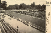 Champ de courses de Boitsfort, la pelouse