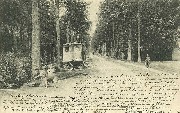 Brasschaet(Polygone). Caimpthoutsche Steenweg - Chaussée de Caimpthout