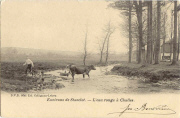 Environs de Stavelot. L'eau rouge à Challes