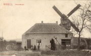 Wodecq. Vieux Moulin