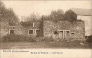Ruines du Serpont. Libramont