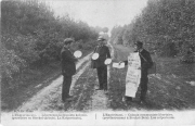 L'expérience. - Colonie communiste libertaire. (provisoirement à stockel-Bois).