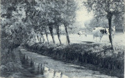 Baulers. La Rivière du Moulin