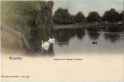 Cygnes aux étangs d' Ixelles