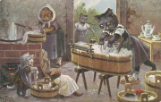 Chats humanisés-la lessive