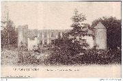 Environs de Virton. Ruines du Château de Montquintin