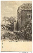 Environs de Hasselt. Moulin à Genck