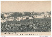Neufchâteau. Panorama du Levant.