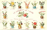 Le langage des fleurs