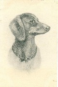 Profil de chien avec médaille