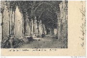 Ruines de Villers, le cloître