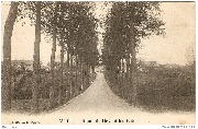Mettet. Route de Devant-les-Bois