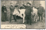Le pari est engagé pour une vache entre M.Van Rieth,marchand de bétail et P.Janssen,l'homme le plus fort connu 