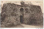 Salm-Château. Ruines de l'ancien château des Comtes de Salm