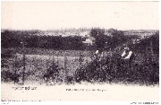 Rodemachern. Panorama aus den Weinbergen