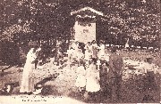 Bruxelles.Bois de la Cambre:les pigeons de l ile