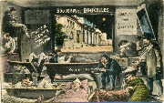 Souvenir de Bruxelles-Disette de logements pendant l'Exposition-Palais des Beaux-Arts Souvenir de Bruxelles-Disette de logements pendant l'Exposition-Palais des Beaux-Arts
