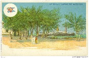 Cie Belge Maritime du Congo (une escale) Cie Belge Maritime du Congo (une escale)