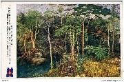 Cie Belge Maritime du Congo. Panorama du Congo. Forêt. Pont de lianes Cie Belge Maritime du Congo. Panorama du Congo. Forêt. Pont de lianes