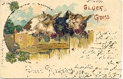 Glück und Gruss (Cochons)