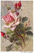 ''Liebhaber-Sommermappe'' (roses)