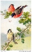 Deux rouge-gorges et une mésange perchées sur une branche d'églantier en fleurs