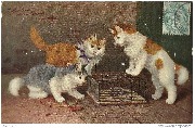 3 chatons regardant une souris prise dans une souricière
