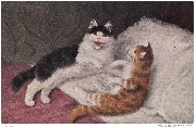 Deux chats jouant sur un lit