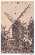 Malderen De oudste molen van't land(1119)Le Moulin le plus vieux de la Belgique