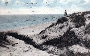 Un joli coin des dunes Un joli coin des dunes