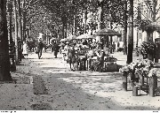 Marché aux fleurs Place de la République française(1925) 