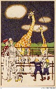 (girafes au zoo)