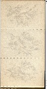 Fleurs de France. Etudes de Klein 12 cartes à colorier Album 1 