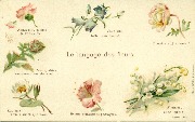 Le langage des fleurs. Aimez-moi comme je vous aime...