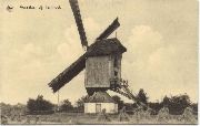  Vosselaar bij Turnhout (moulin à vent)