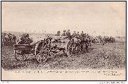 Guerre de 1914  Artillerie de Campagne Belge en Flandre - Belg Artillry in Flanders