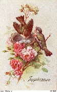 Oiseaux et fleurs (Nid de pinsons)