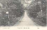 Spa. Route de la Sauvenière