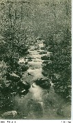 Vue du ruisseau du Petit-Fays Environs de Vresse la Cascadelle