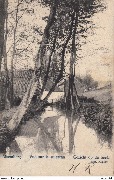 Alsemberg Vue sur le ruisseau Gezicht op de beek