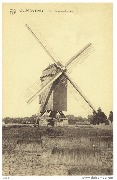 Oostrozebeke De korenwindmolen Oostrozebeke De korenwindmolen
