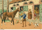 (Présentation d'un cheval)