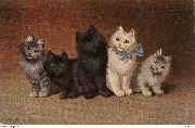 (5 chats dont l'un porte un ruban bleu)