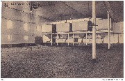 La brasserie. Le maltage