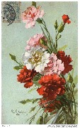 (oeillets)