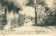 Mondorf les Bains. Vue vers la piscine-Zum grossen Bassin