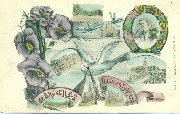 Souvenir de Bruxelles. Multivue. Colombe, pens&eacute;es, libellule