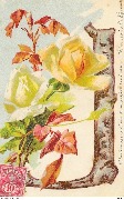 Lettre J