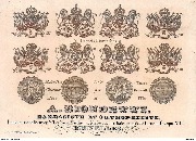 A.BIONDETTI Bandagiste Orthop&eacute;diste Bruxelles Brevet d'invention M&eacute;dailles de 1&egrave;re classe