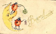 Bonne Ann&eacute;e(la demi-lune et deux coccinelles)